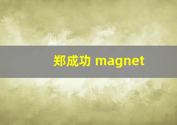 郑成功 magnet